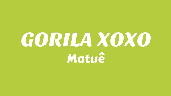 GORILA XOXO Lyrics (English Translation) - Matuê