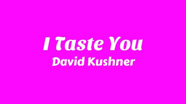 I Taste You Lyrics - David Kushner