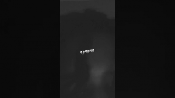 Lil Bro Lyrics - Pooh Shiesty
