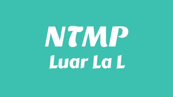 NTMP Lyrics (English Translation) - Luar La L