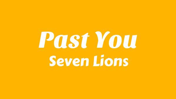 Past You Lyrics - Seven Lions