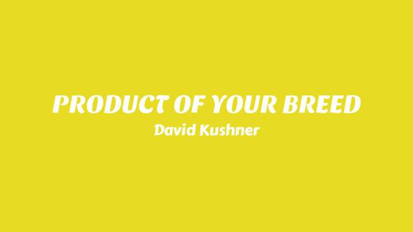 PRODUCT OF YOUR BREED Lyrics - David Kushner
