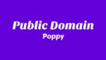 Public Domain Lyrics