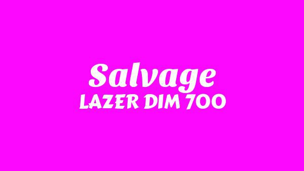 Salvage Lyrics - LAZER DIM 700
