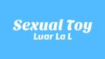 Sexual Toy Lyrics