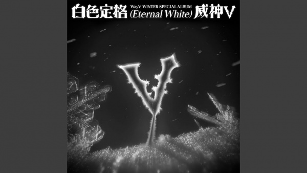 陌生的泪 (Strange Tears) Lyrics - WayV (威神V)