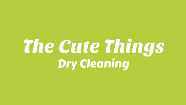 The Cute Things Lyrics - Dry Cleaning