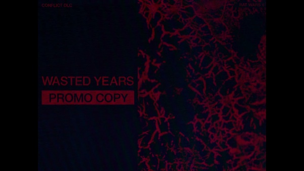 WASTED YEARS Lyrics - HEALTH