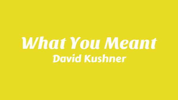 What You Meant Lyrics - David Kushner
