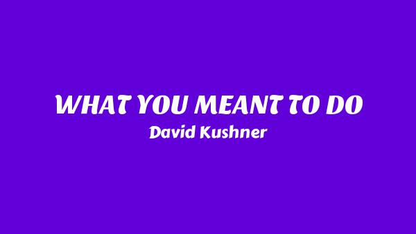 WHAT YOU MEANT TO DO Lyrics - David Kushner