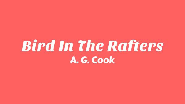 Bird In The Rafters Lyrics - A. G. Cook