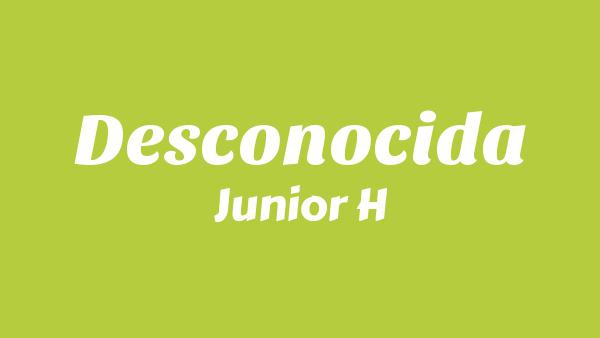Desconocida Lyrics - Junior H