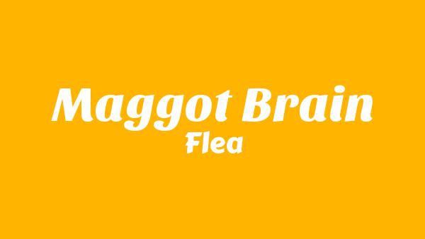 Maggot Brain Lyrics - Flea | from HONORA