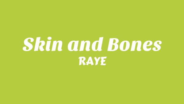 Skin & Bones Lyrics - RAYE