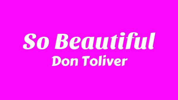 So Beautiful Lyrics - Don Toliver