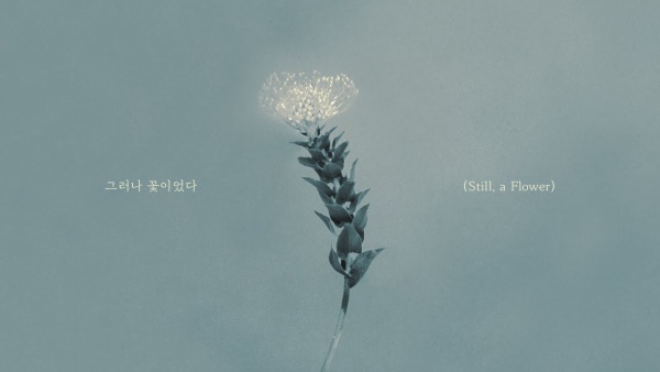 그러나 꽃이었다 (Still, a Flower) Lyrics (English Translation) - CNBLUE