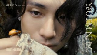 Yêu em như… Lyrics