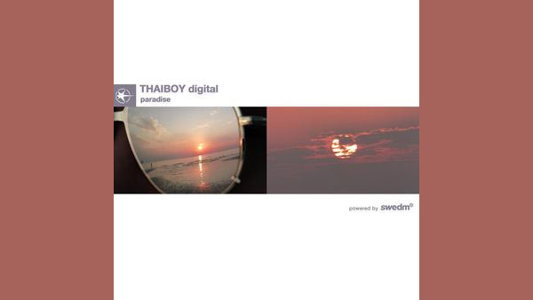 Destiny Lyrics - Thaiboy Digital | Paradise
