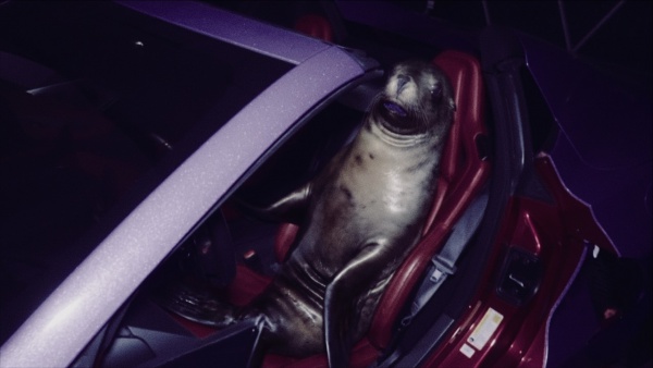 I ˂3 seals Lyrics - bleood