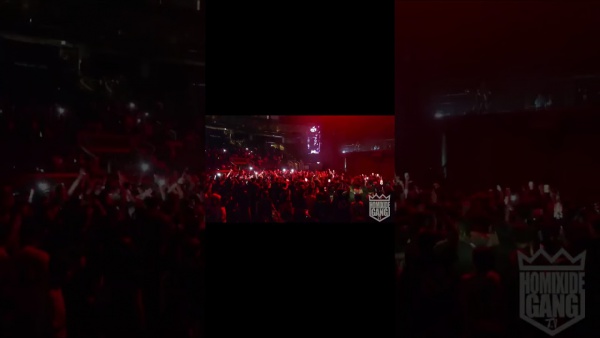 K9INE Lyrics - HXG | MADNESS