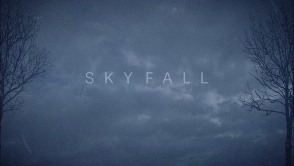 Skyfall Lyrics - Josh Groban | Cinematic