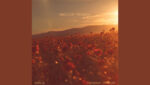 Bed of Roses Lyrics