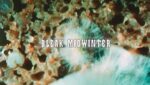 Bleak midwinter Lyrics