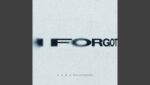 I Forgot Lyrics