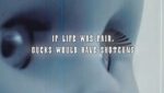 If life was fair, ducks would have shotguns Lyrics