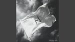 Lo Que Se Dice Amor  (English Translation) Lyrics