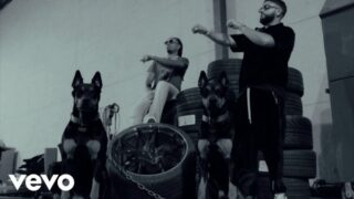 MUTT Lyrics