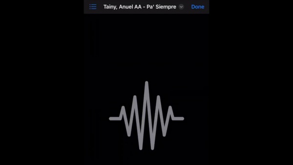 PASIEMPRE (Primera Versión) Lyrics - Tainy, Anuel AA