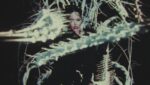 Ribcage Lyrics