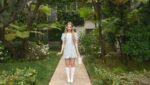 Run Rabbit Lyrics