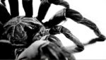 Tarantula Lyrics