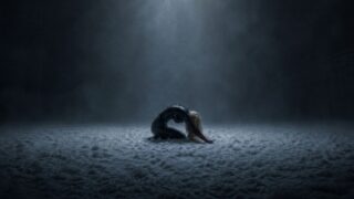 Crawl Lyrics