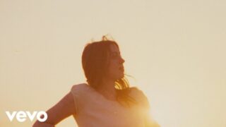 The light in the painting Lyrics