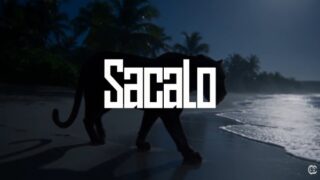 Sacalo (English Translation) Lyrics