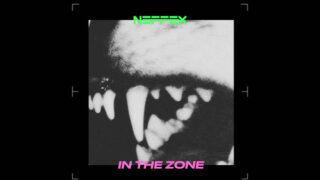 IN THE ZONE Lyrics