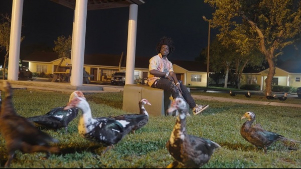 Lil Birdie Lyrics - Kodak Black