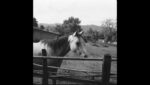 All You Wanted Lyrics