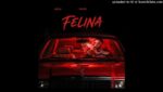 Felina Lyrics