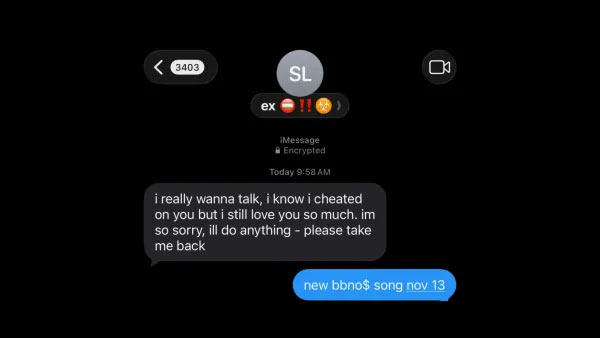 I hate cheaters Lyrics - bbno$