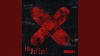 IMPERFECT Lyrics